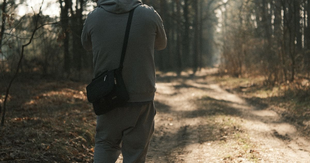 A person walking alone along a quiet forest path in autumn light.