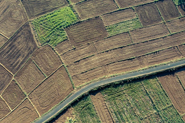 მიწის ნაკვეთის შერჩვა