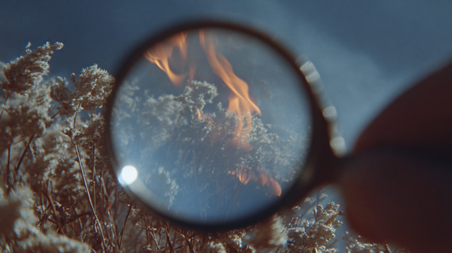 Magnifying glass held over dry plants revealing small flames and fire.