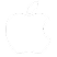 apple icon
