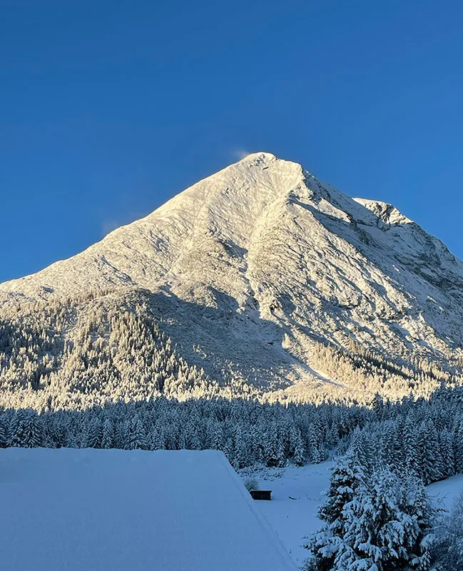 Verschneiter Berggipfel unter klarem blauem Himmel mit bewaldeten Hängen und schneebedeckten Bäumen im Vordergrund.