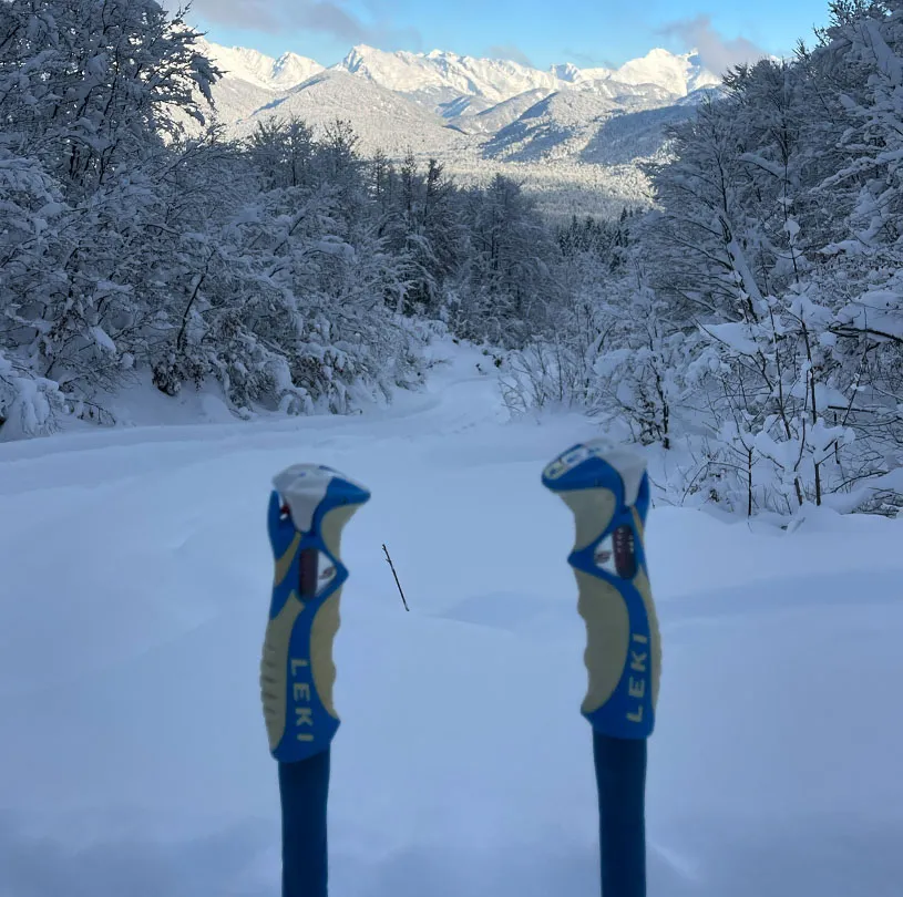 Modernes Wohnzimmer mit grauem Ecksofa, rundem schwarzem Draht-Couchtisch und großem Fenster mit Vorhängen, Blick auf Terrasse und Holzboden.