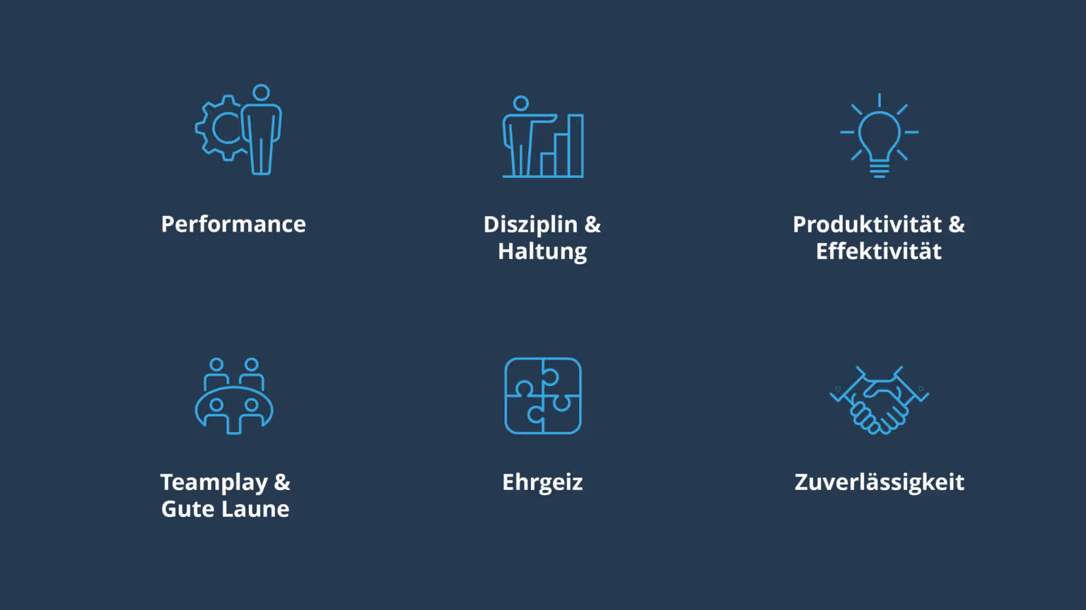 Sechs Icons symbolisieren Unternehmenswerte: Performance, Disziplin & Haltung, Produktivität & Effektivität, Teamplay & Gute Laune, Ehrgeiz und Zuverlässigkeit.