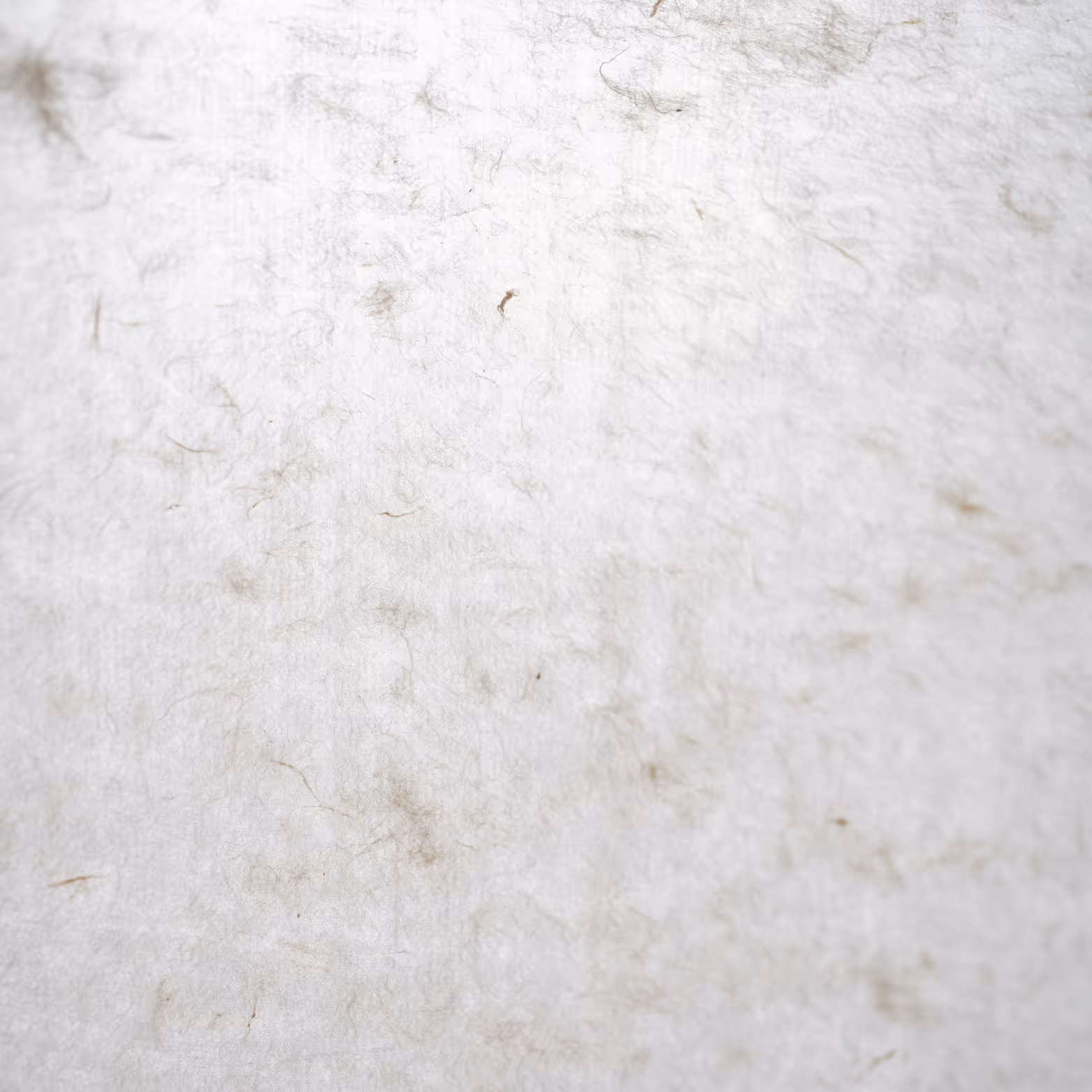 Close-up of natural fiber journal with light illuminating irregular paper fiber textures.