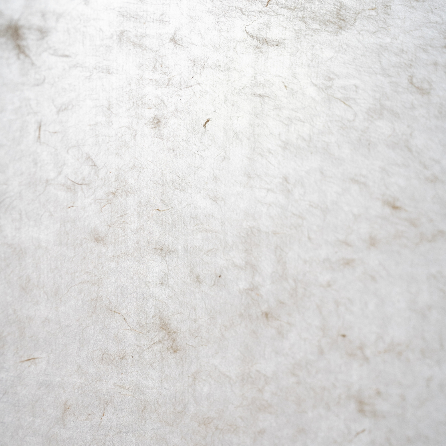 Close-up of natural fiber journal with light illuminating irregular paper fiber textures.