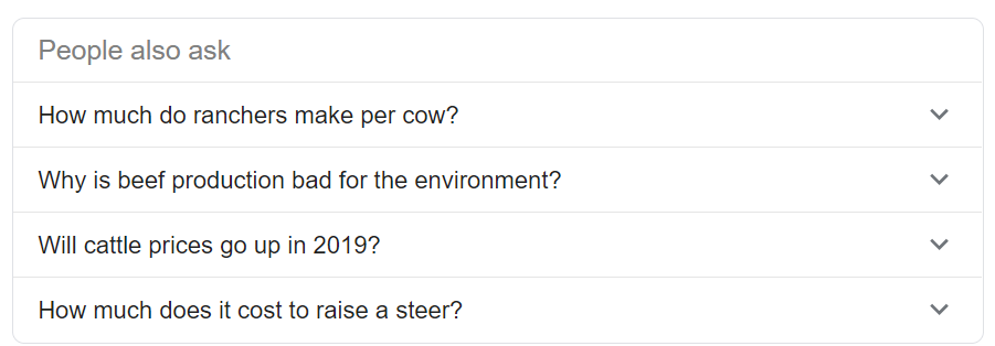 Screenshot from Search Engine Results Page (SERP)