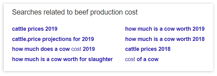 Screenshot from Search Engine Results Page (SERP)
