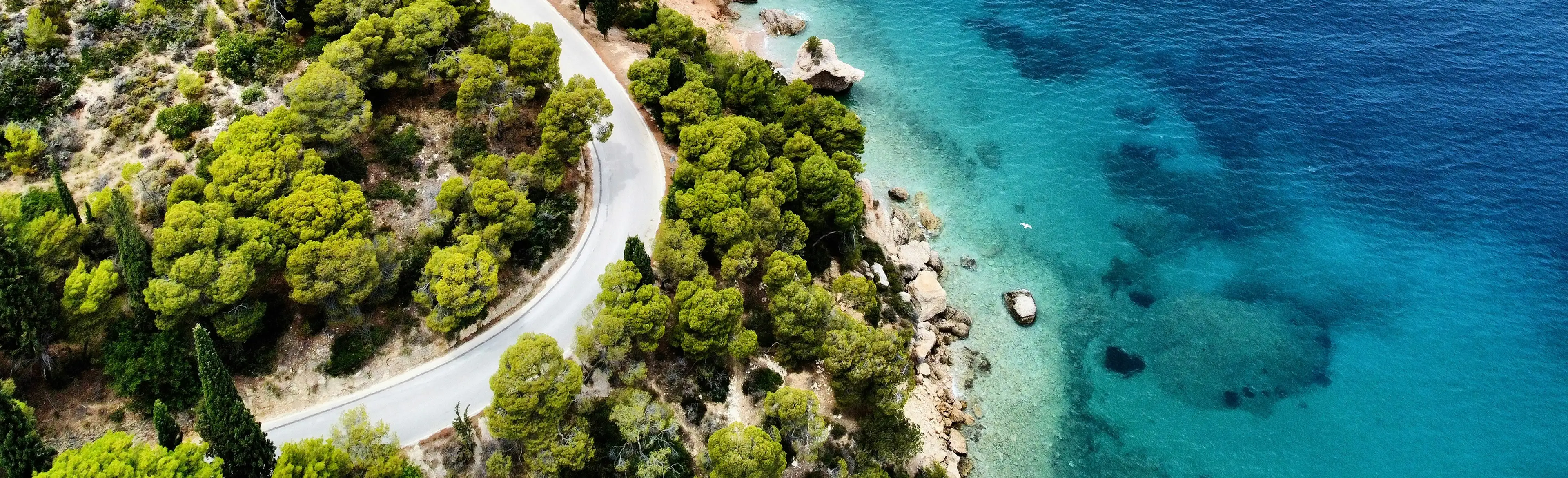 Aszfalt út vezet keresztül a zöld erdővel borított tengerparton.