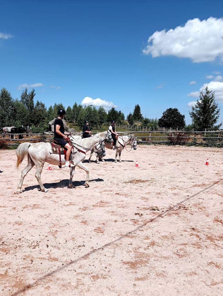 Tibis-ranch-marisel-horse-riding-echitatie