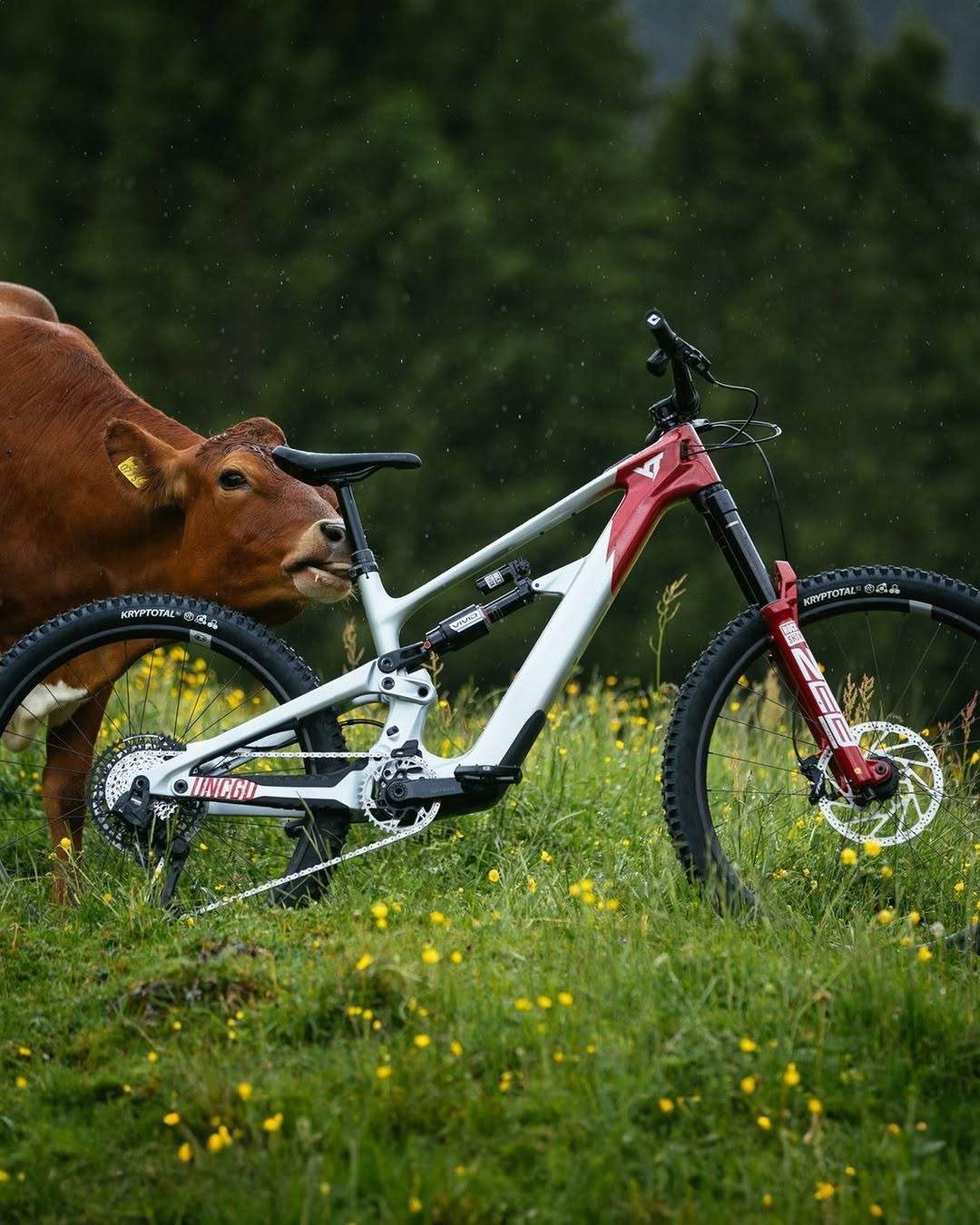 downhiil-apuseni-marisel-belis-bicicleta