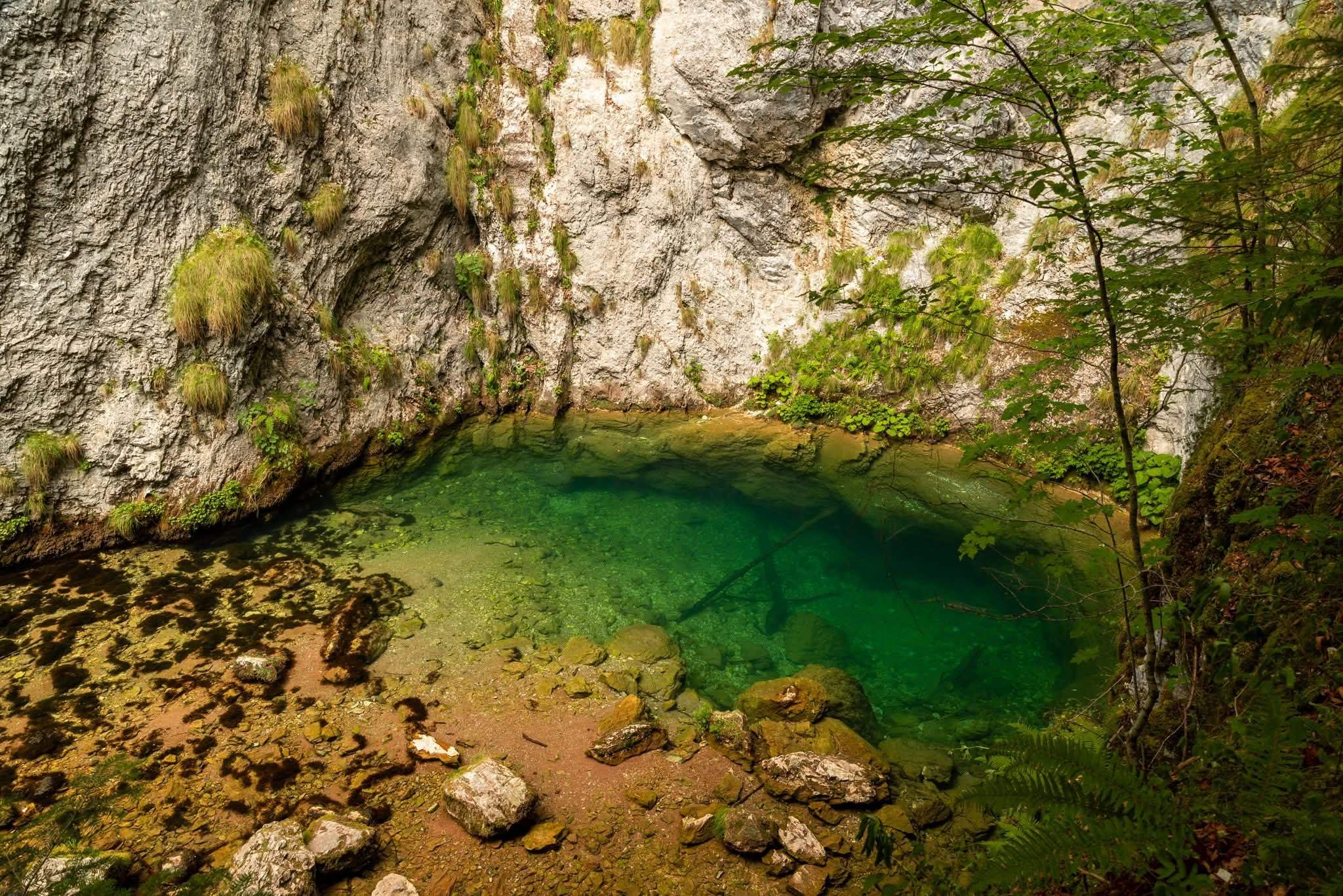 izbucul-tauzului-apuseni