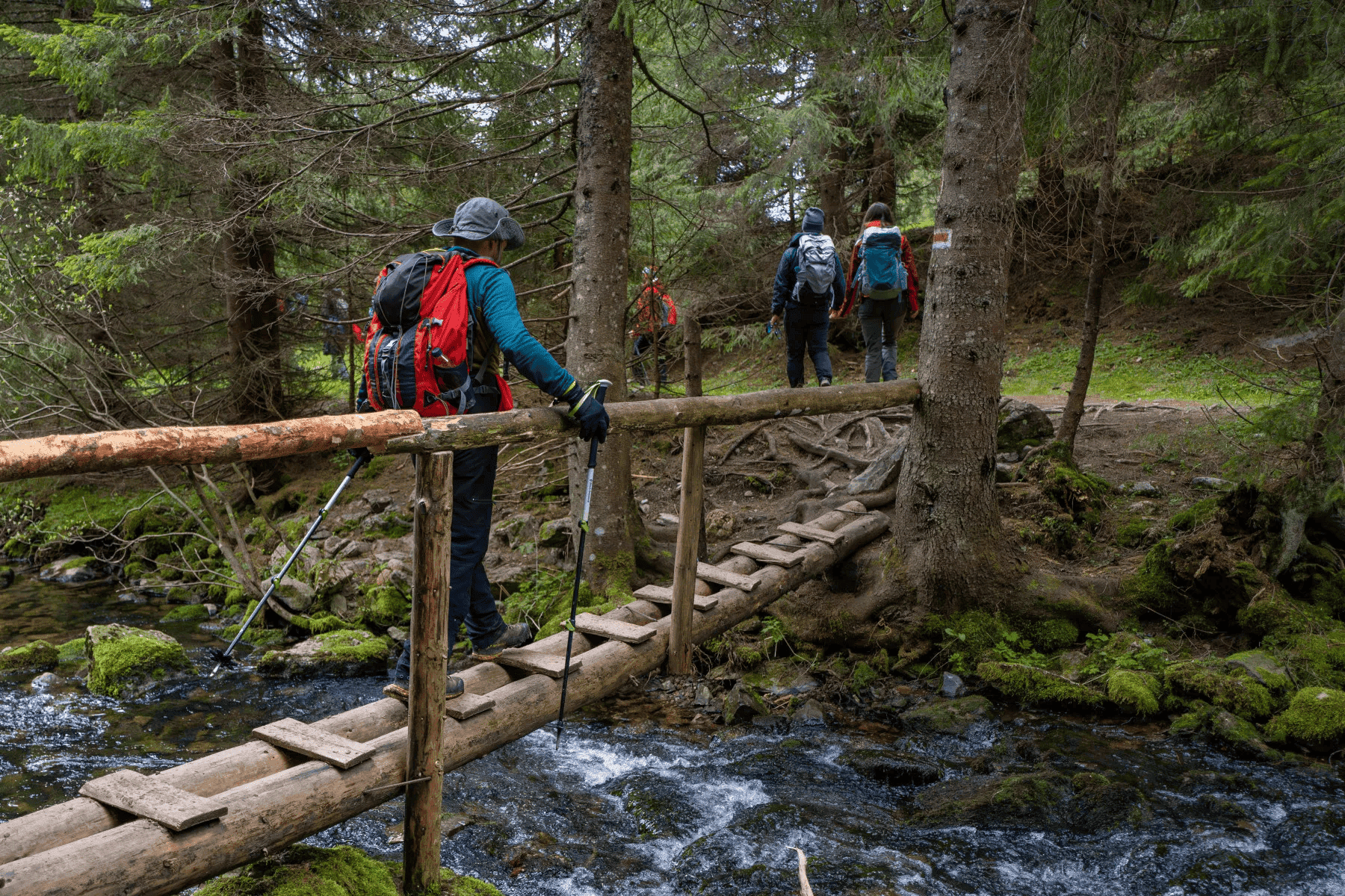 -apuseni-drumetii-pod-apuseni-lemn