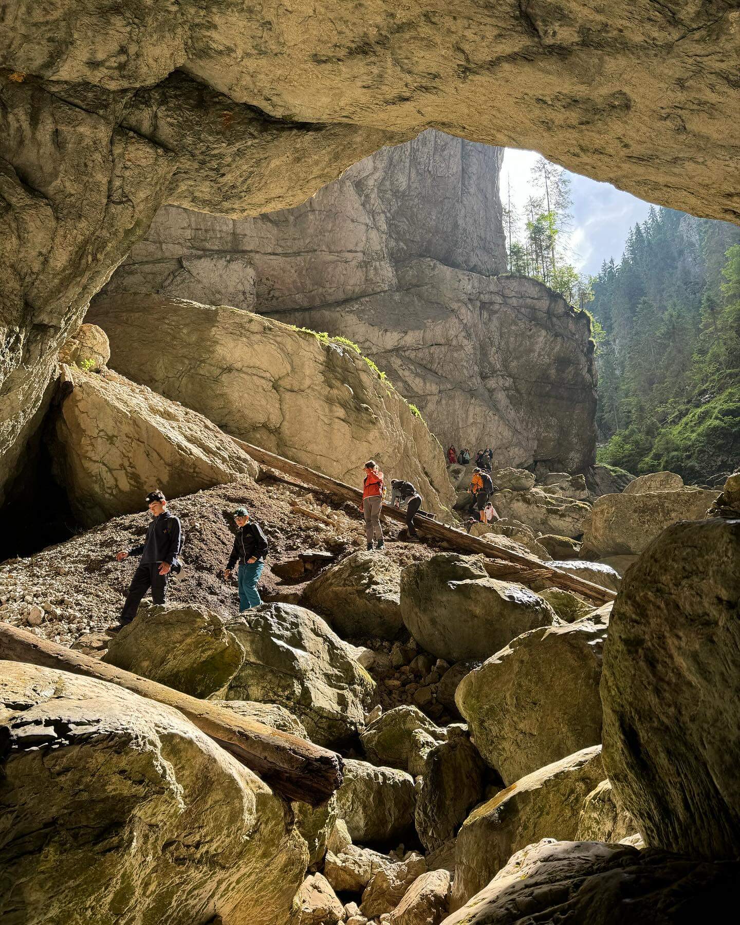 ponor-cetatile-ponorului-pestera