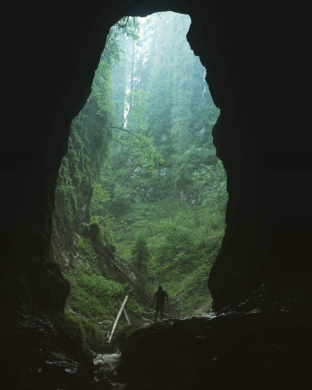 cetatile-radesei-apuseni-drumetii-hiking