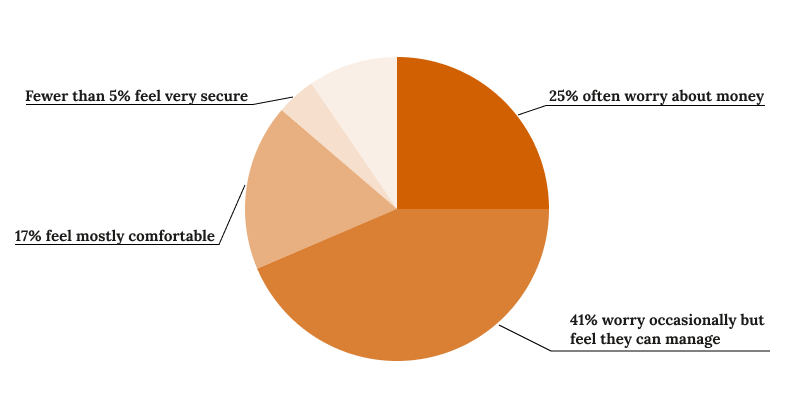 Money worries pie chart