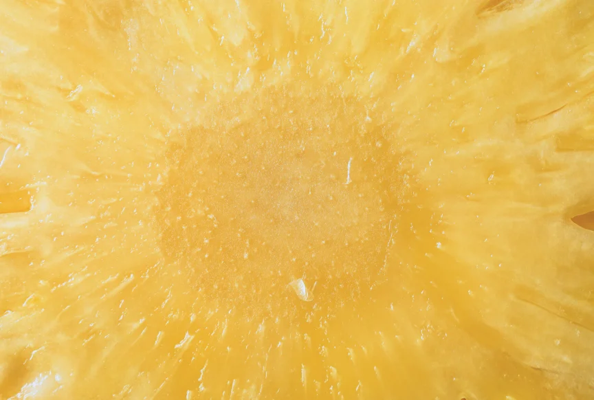 Close-up view of a yellow pineapple slice showing its juicy texture and fibrous center.