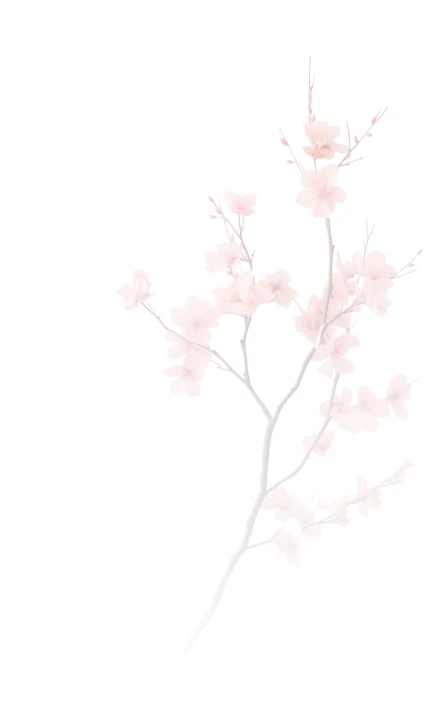 A sakura branch on a pink background