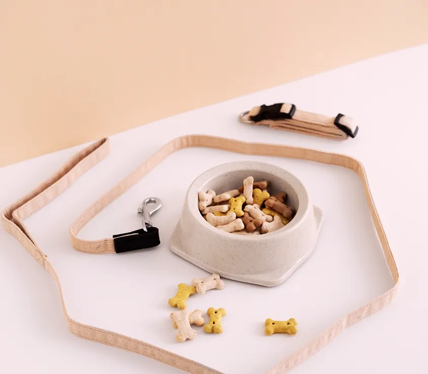 A bowl with kibble and a leash on a pink background