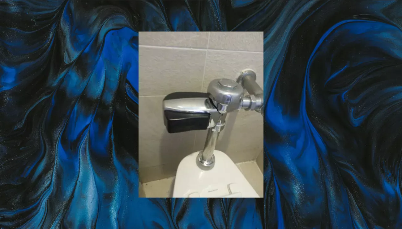 Automated toilet flusher