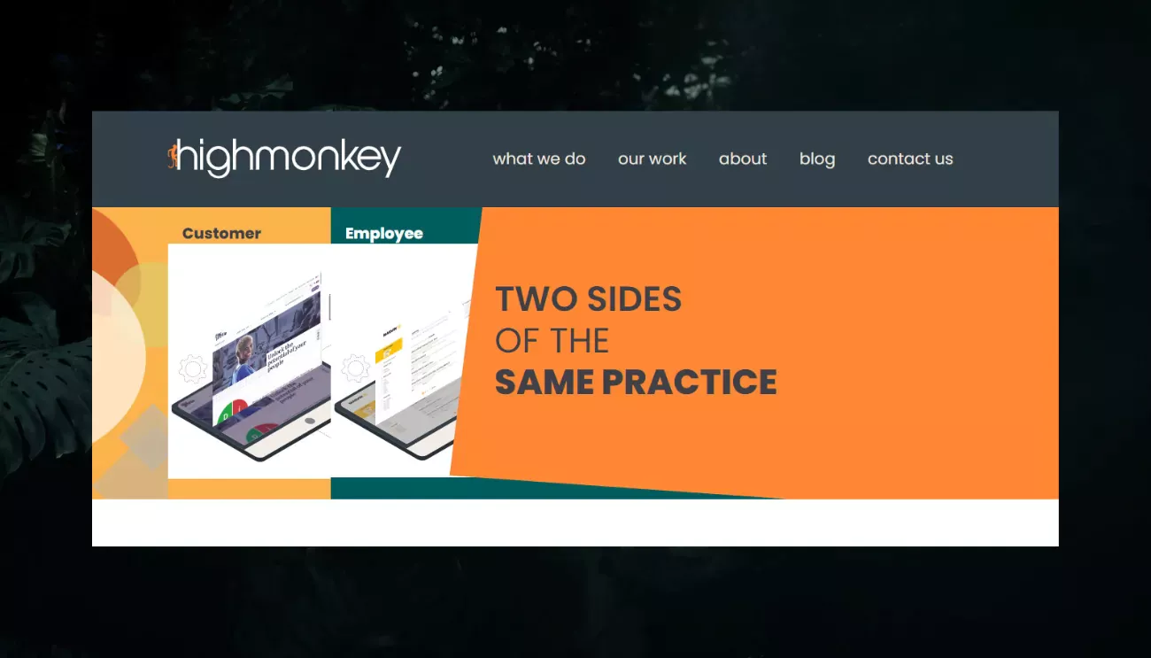 screenshot of high monkey website