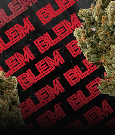 Close-up of green cannabis buds with orange hairs on a black background patterned with red BLEM logos.