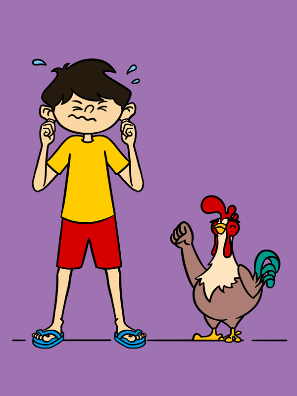Animation of a boy doing squats and sweating nervously standing next to cheerful rooster on purple background.