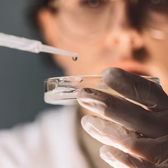 Team meeting in a bright conference room discussing clinical research strategy