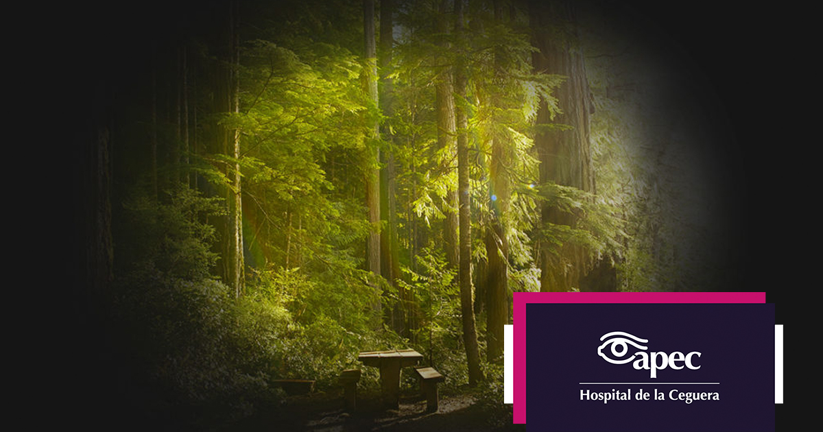 Young woman wearing glasses smiles