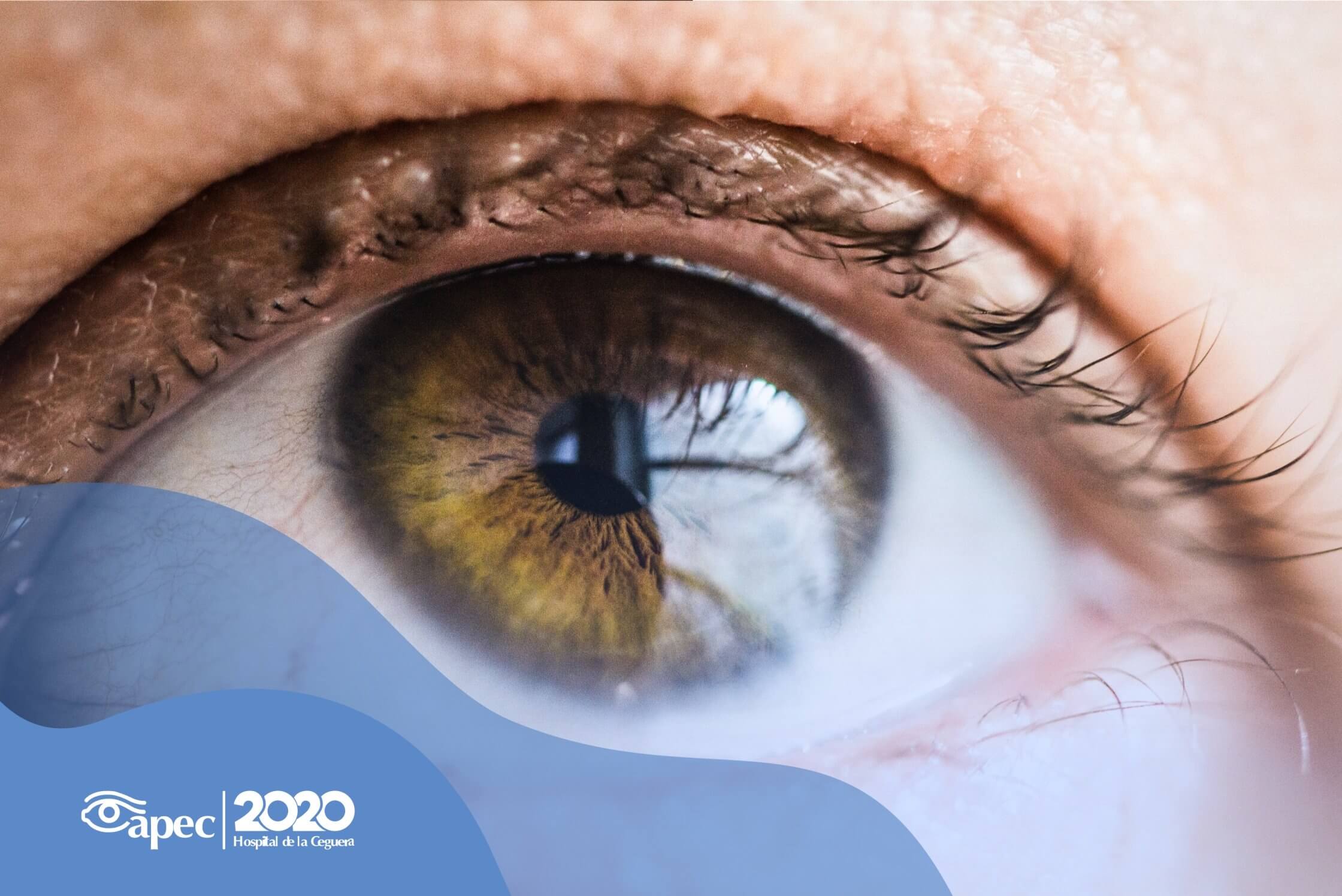 Young woman wearing glasses smiles