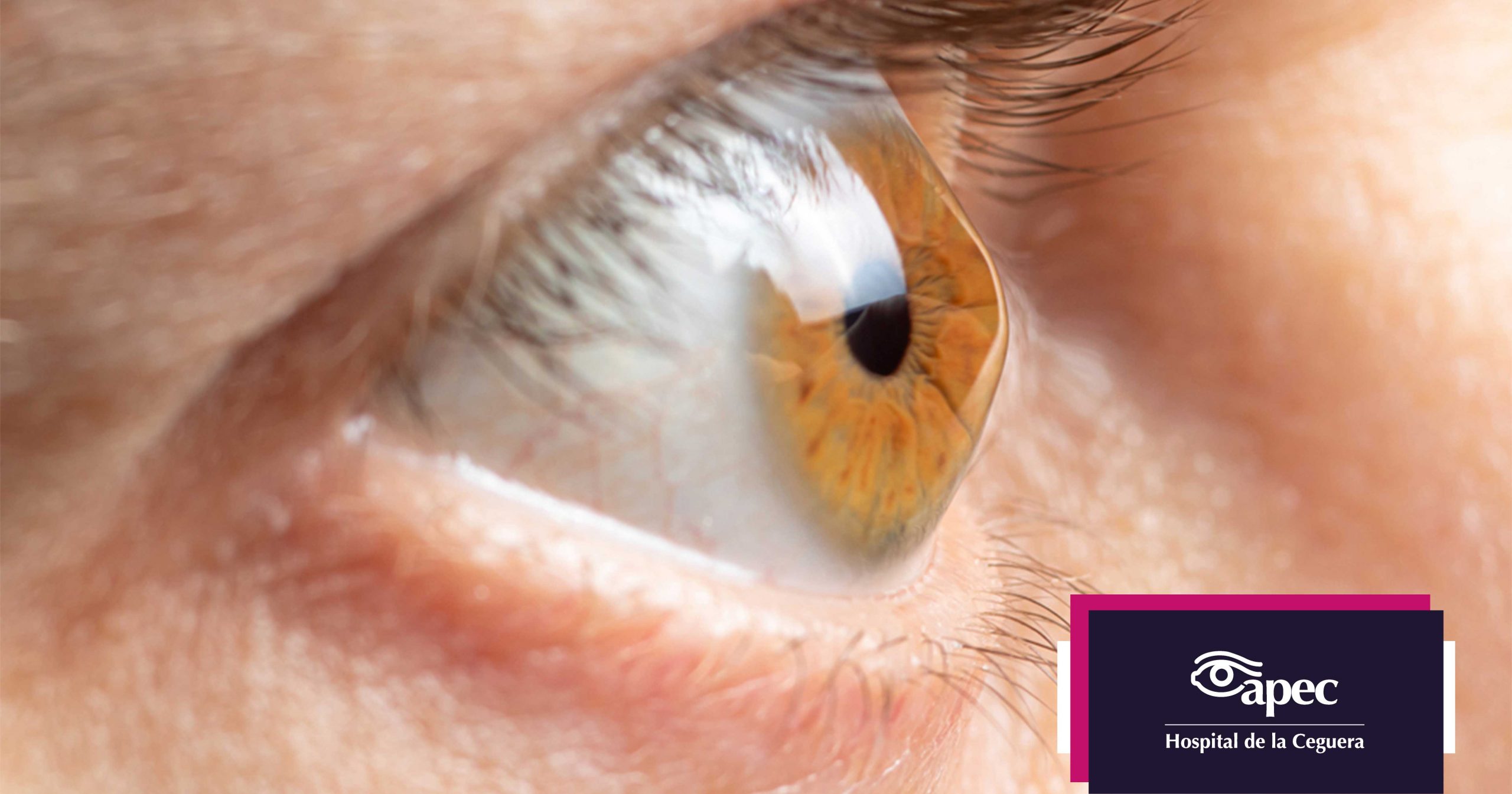 Young woman wearing glasses smiles