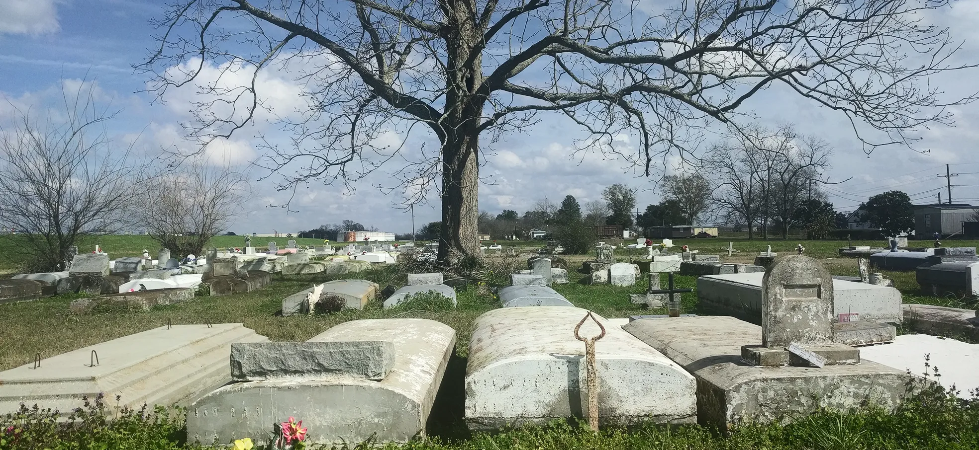 Image of cemetary