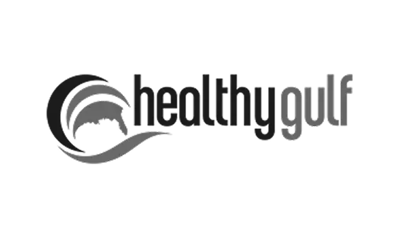 Healthy gulf logo