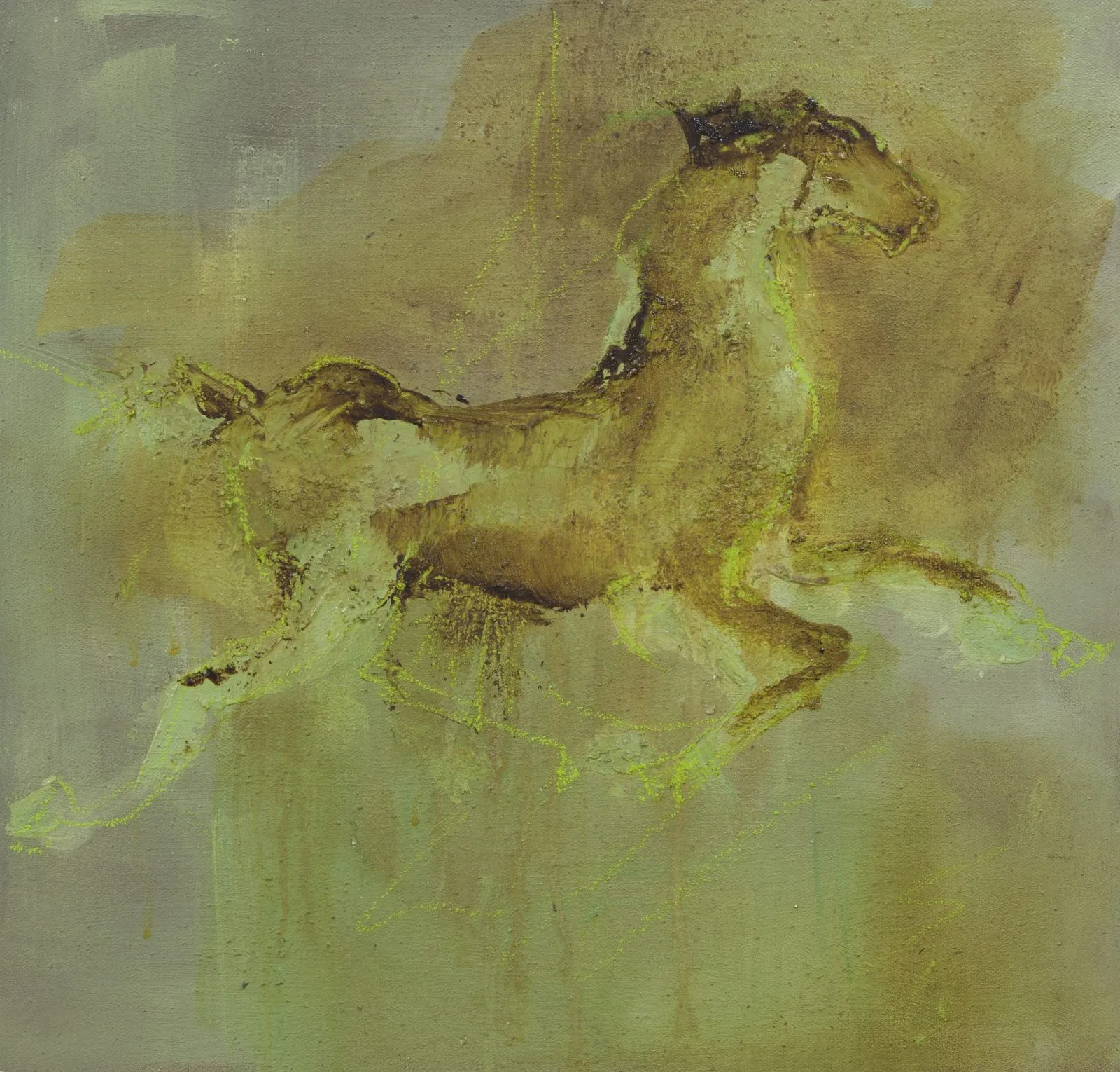 Chinese Horse