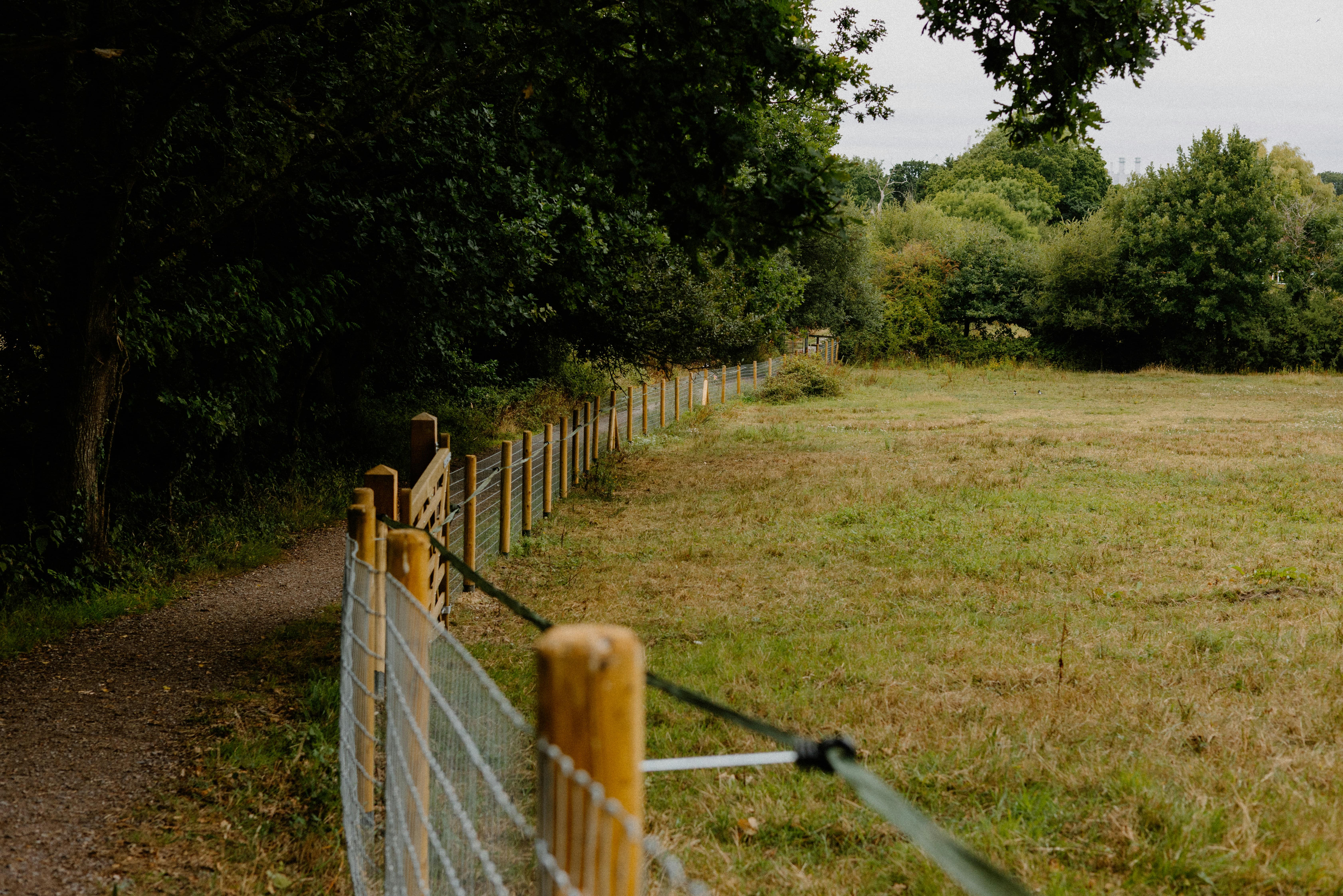 A wooden fence with metal mesh bordering a grassy field adjacent to a dirt path lined with trees.