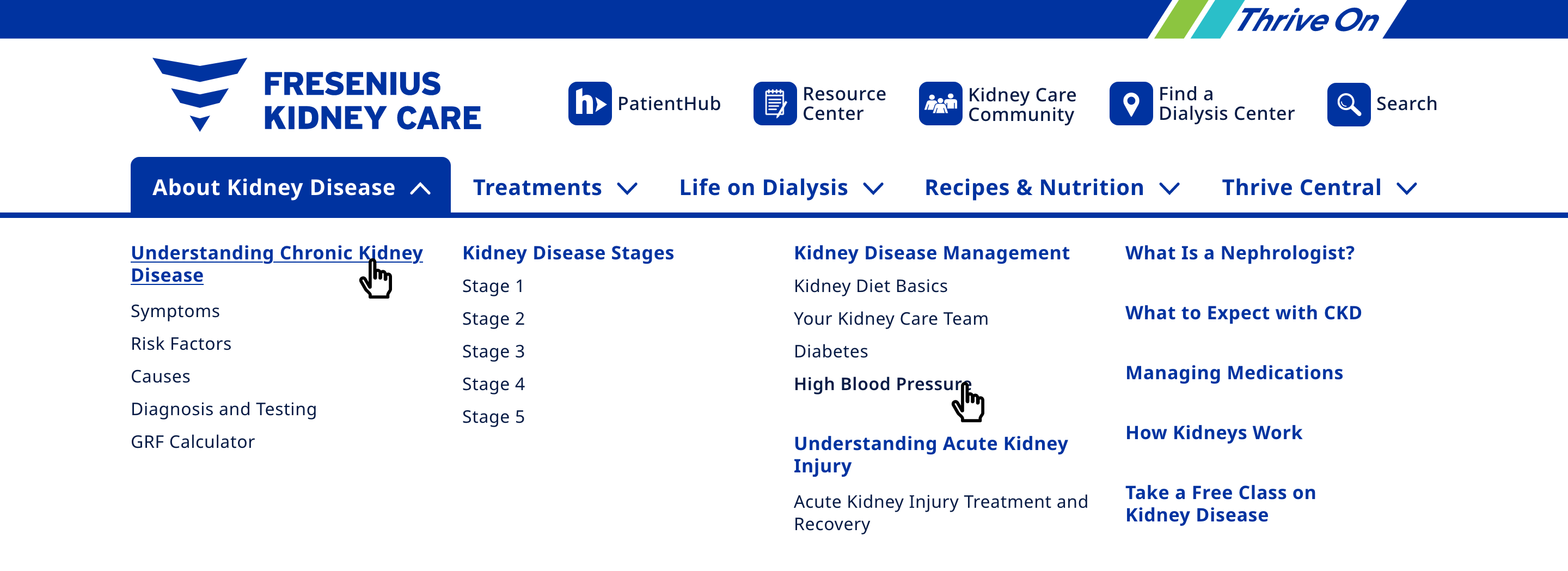 Desktop view of Fresenius's navigation