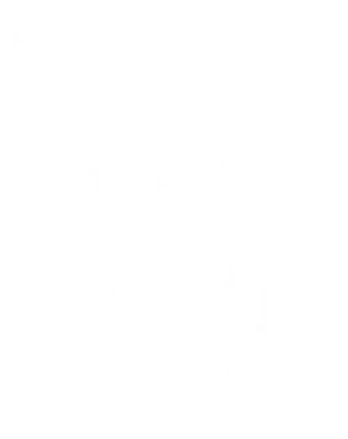 Light image