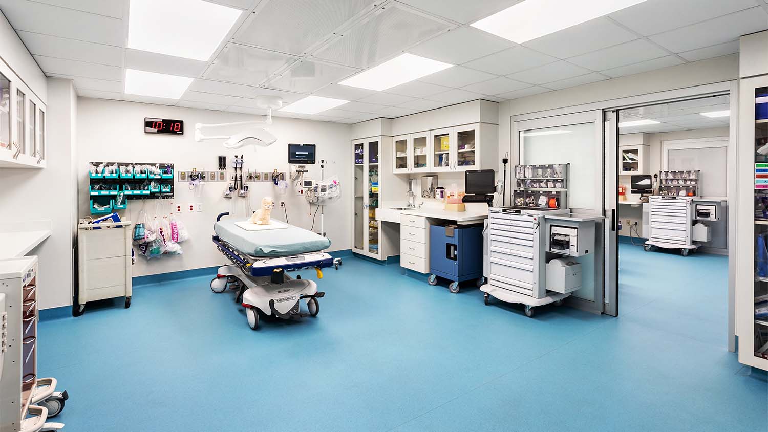 Patient area in the Dolly Parton Children's Hospital Emergency Department Expansion y Johnson & Galyon