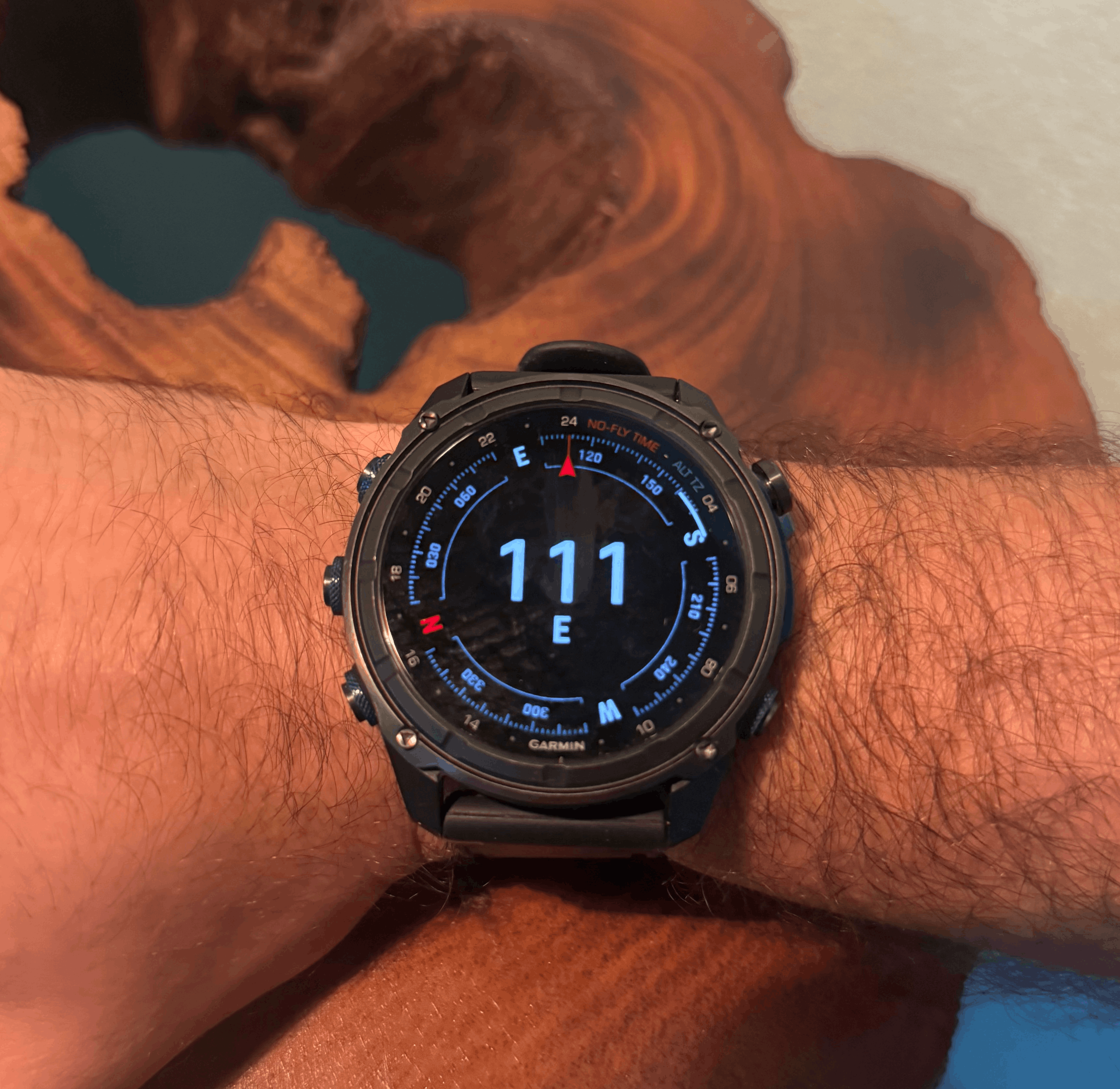 Garmin Descent MK3i Display Compass