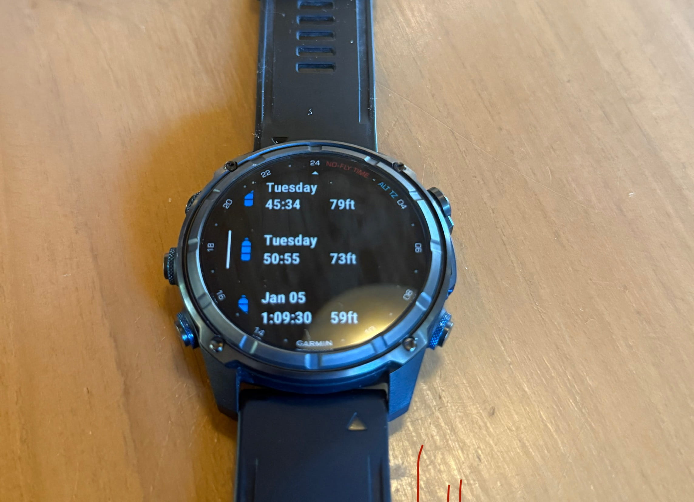 Garmin Descent MK3i Dive Log