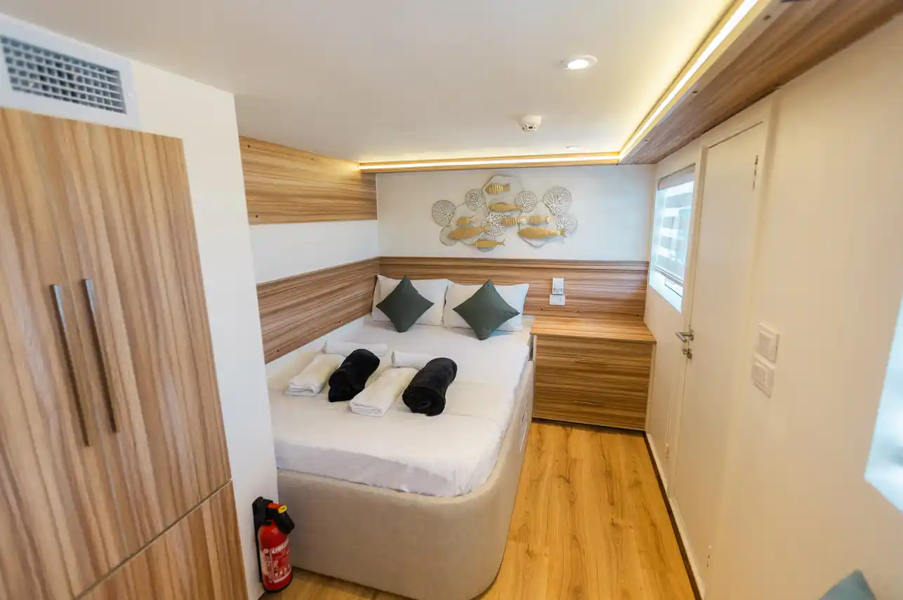 Guest cabin aboard the Alsuraya with reef fish wall art, Red Sea, Egypt