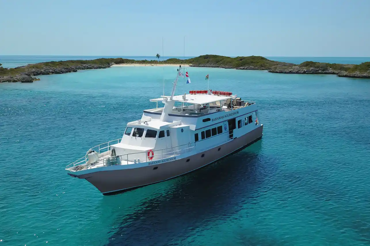 Bahamas Aggressor liveaboard