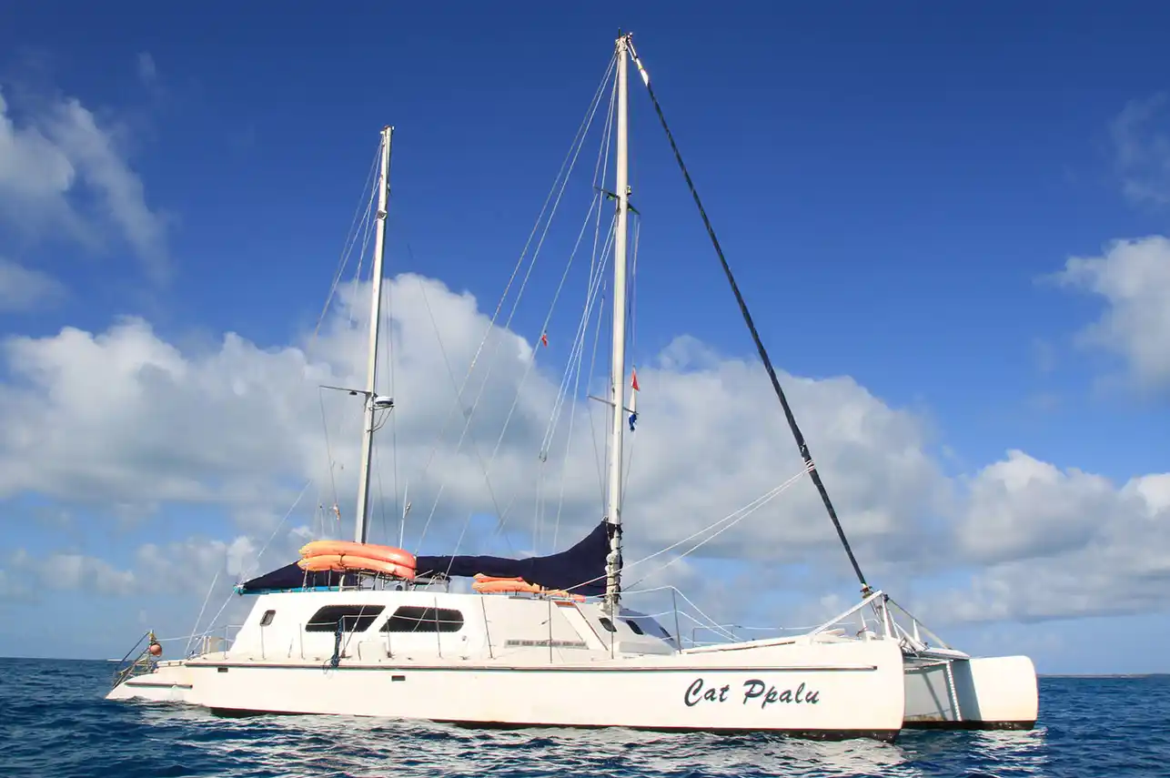 Cat Ppalu catamaran