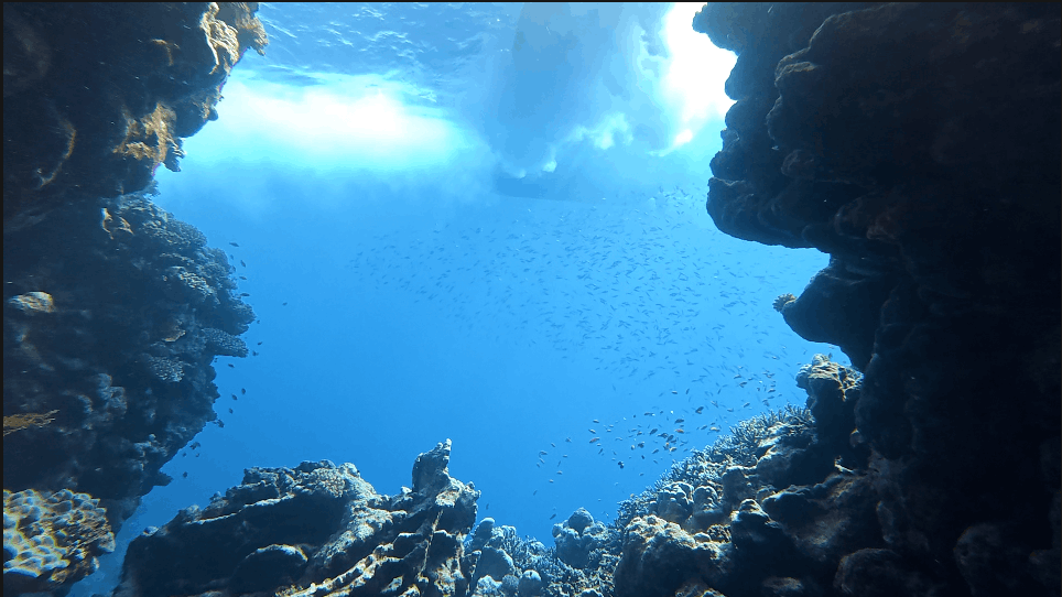 Cave archway with schooling fish at Jackfish Alley, Red Sea, Egypt