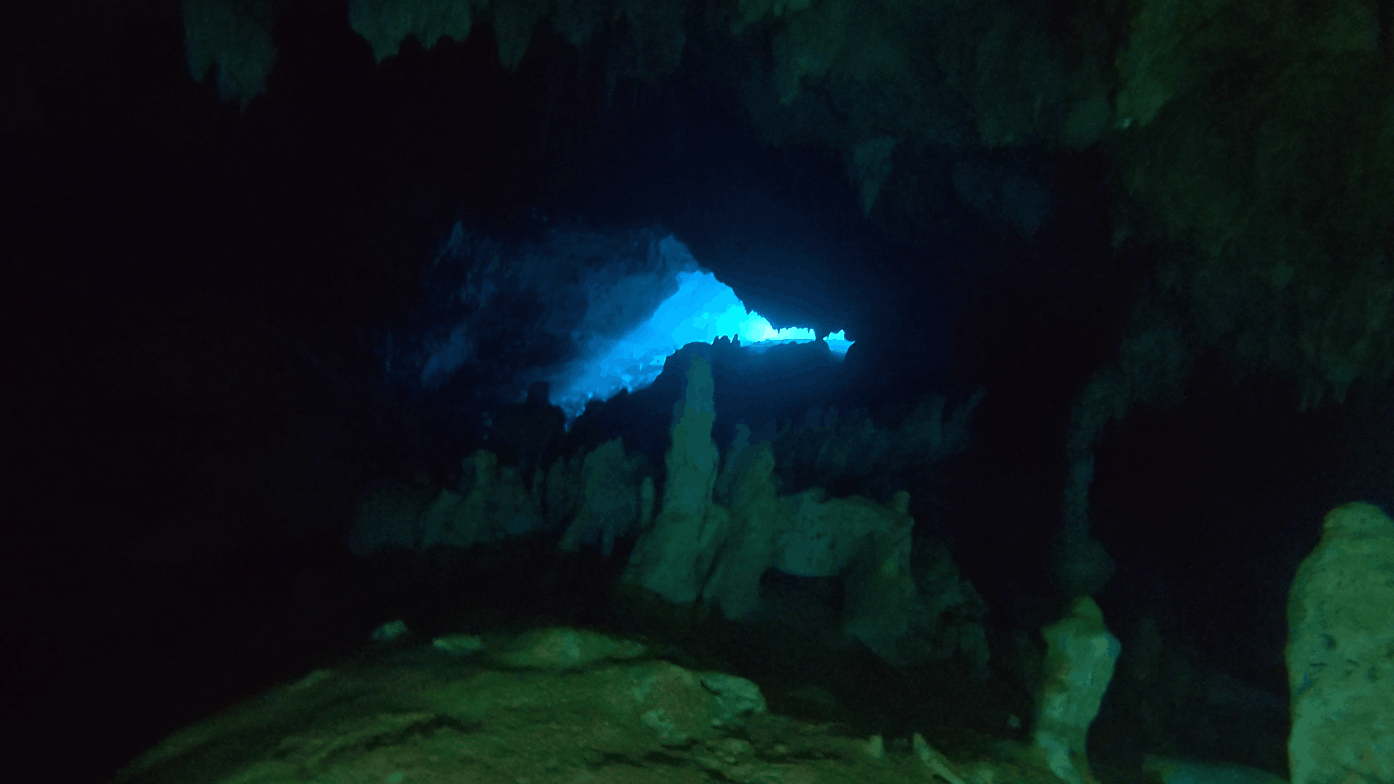 Daylight through the cave entrance at Cueva Padre Nuestro, seen from inside