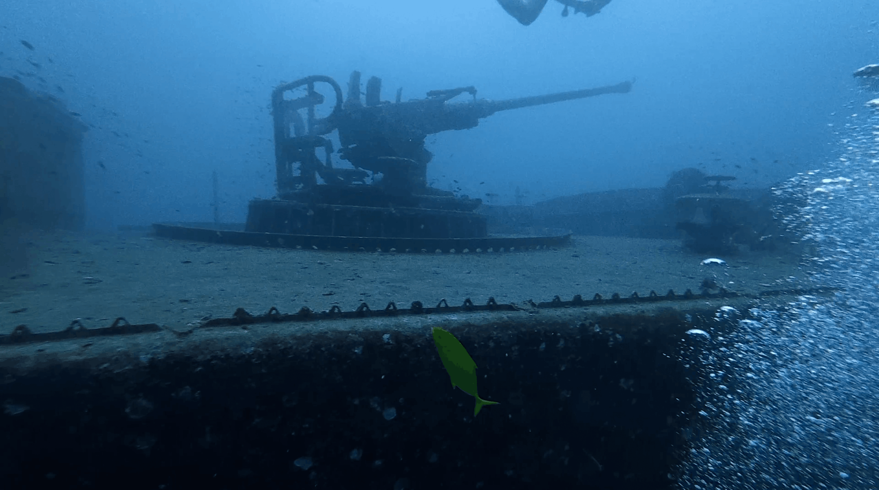 Deck gun on the bow of the HTMS Suphairin wreck in Koh Tao, Thailand
