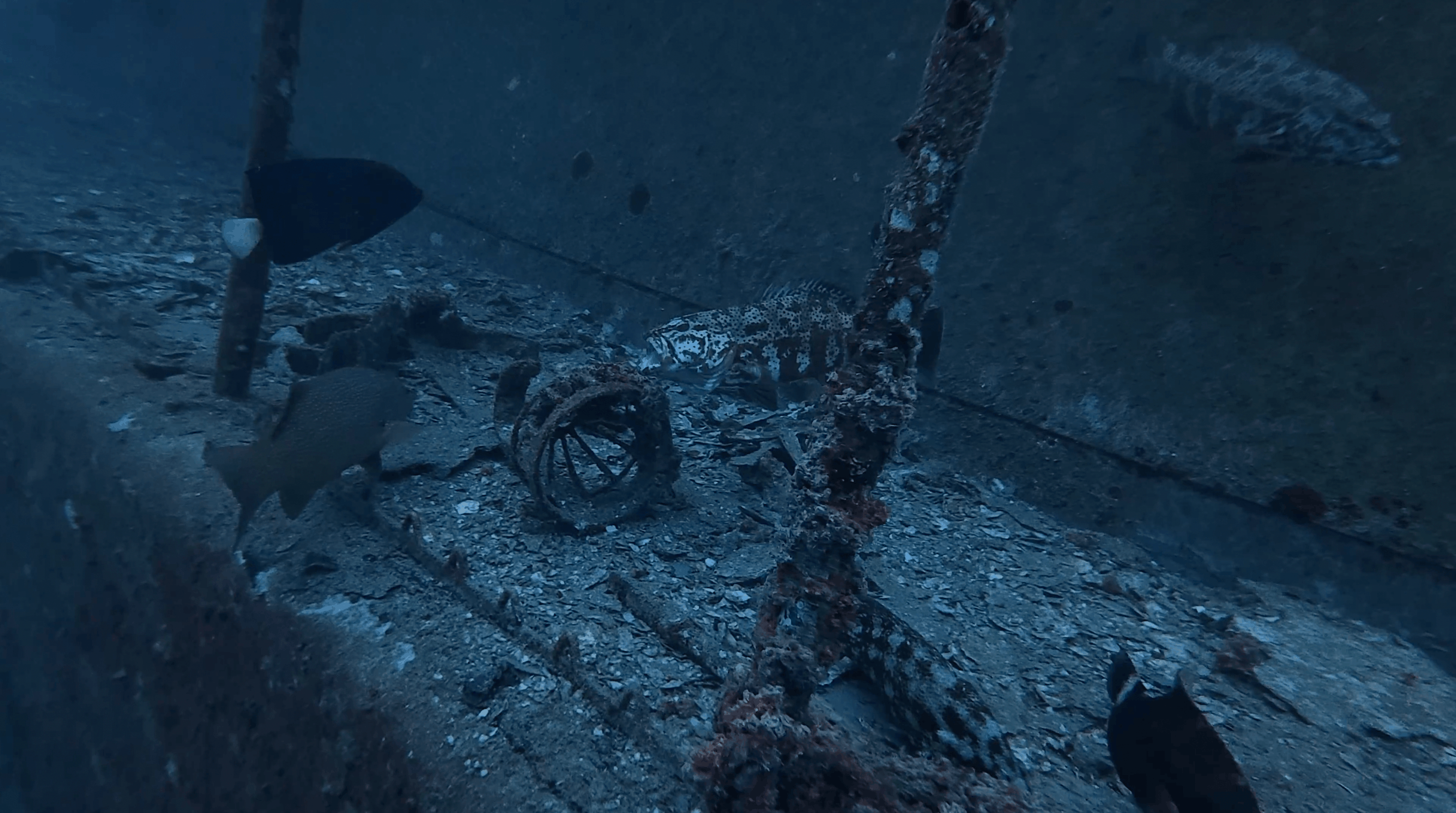 Debris and small fish on the deck of the HTMS Suphairin wreck, Koh Tao