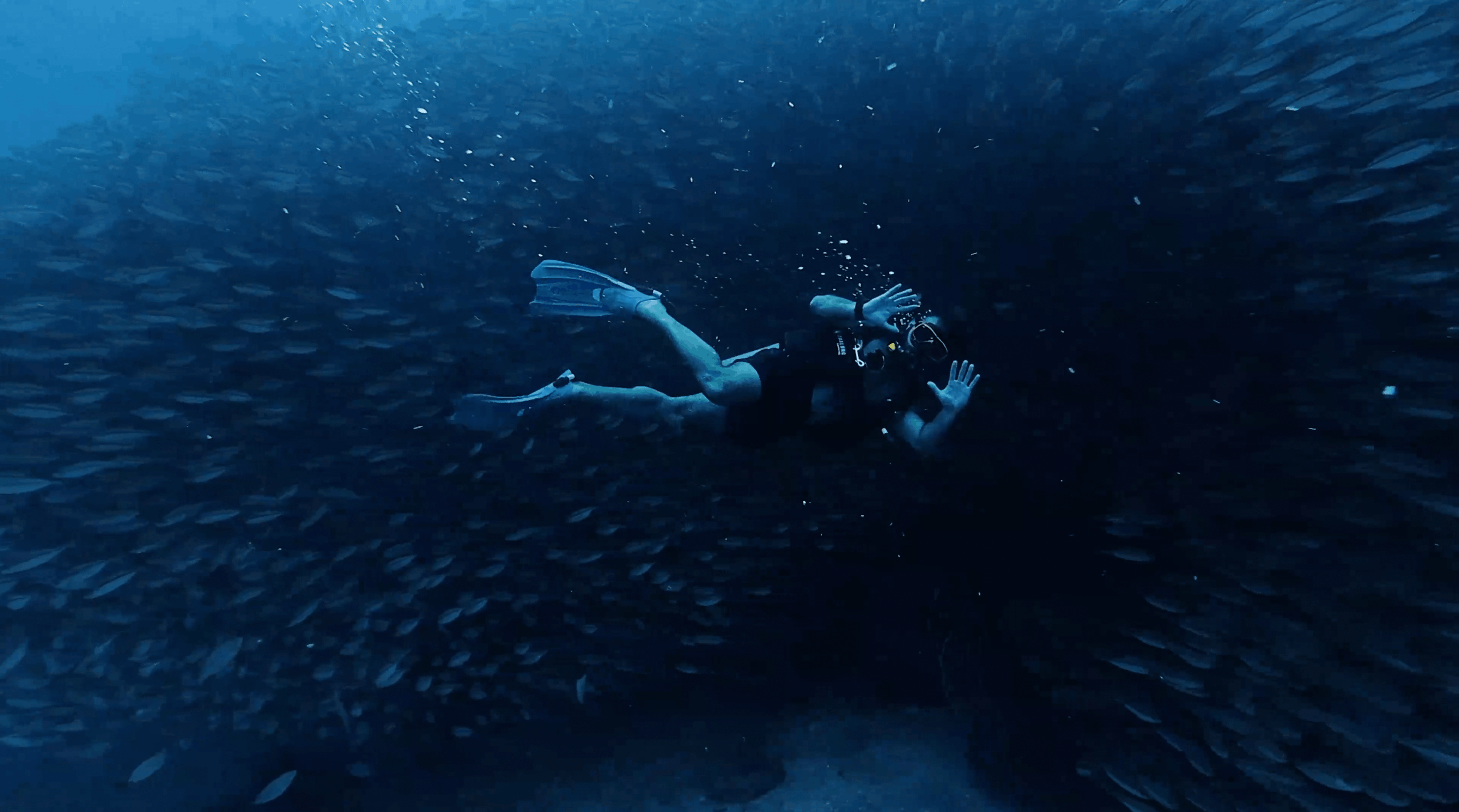 Divemaster Austin swimming through a school of fusiliers at Southwest Pinnacle, Koh Tao