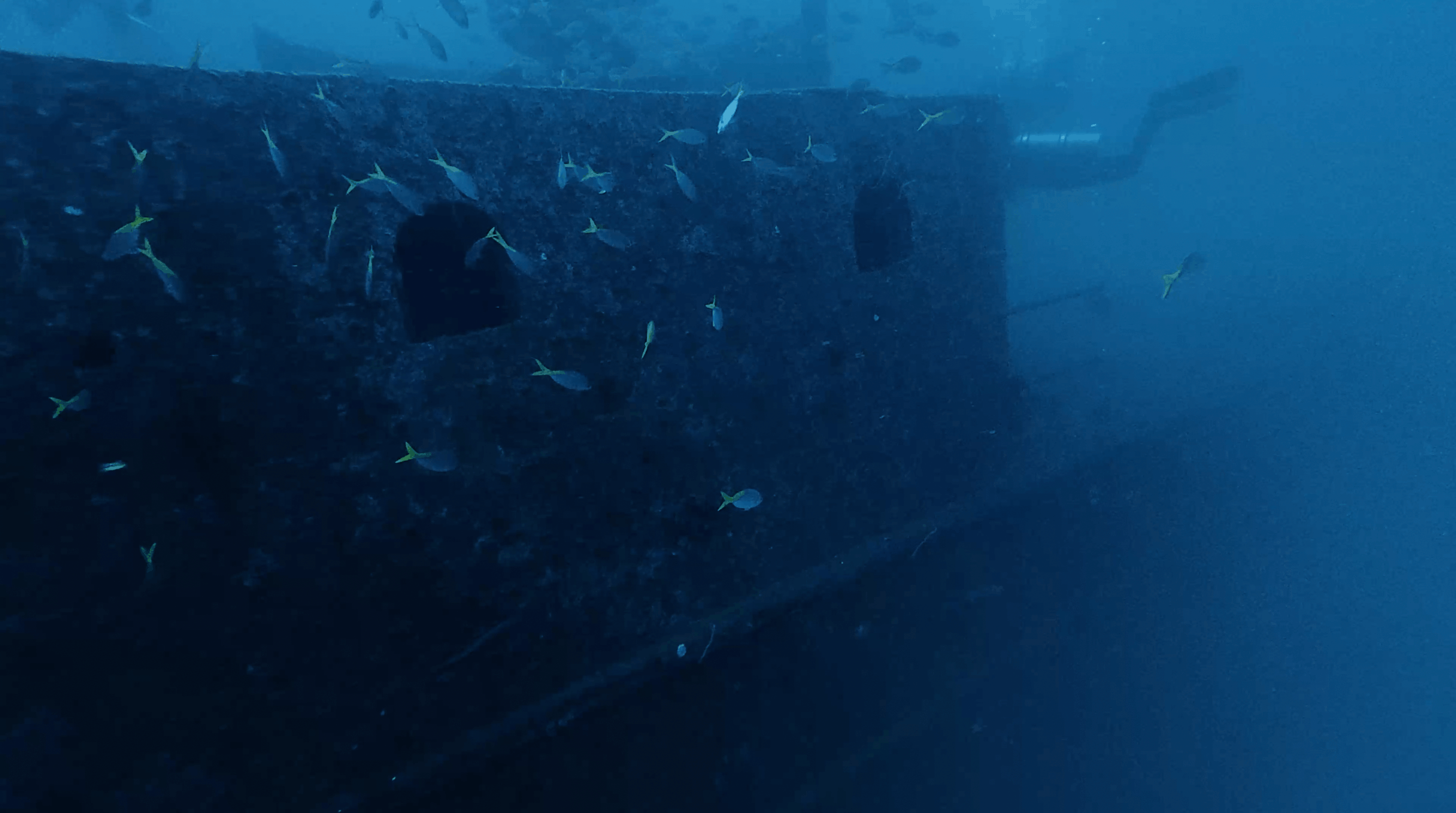 Fusiliers along the hull openings of the HTMS Sattakut, Koh Tao
