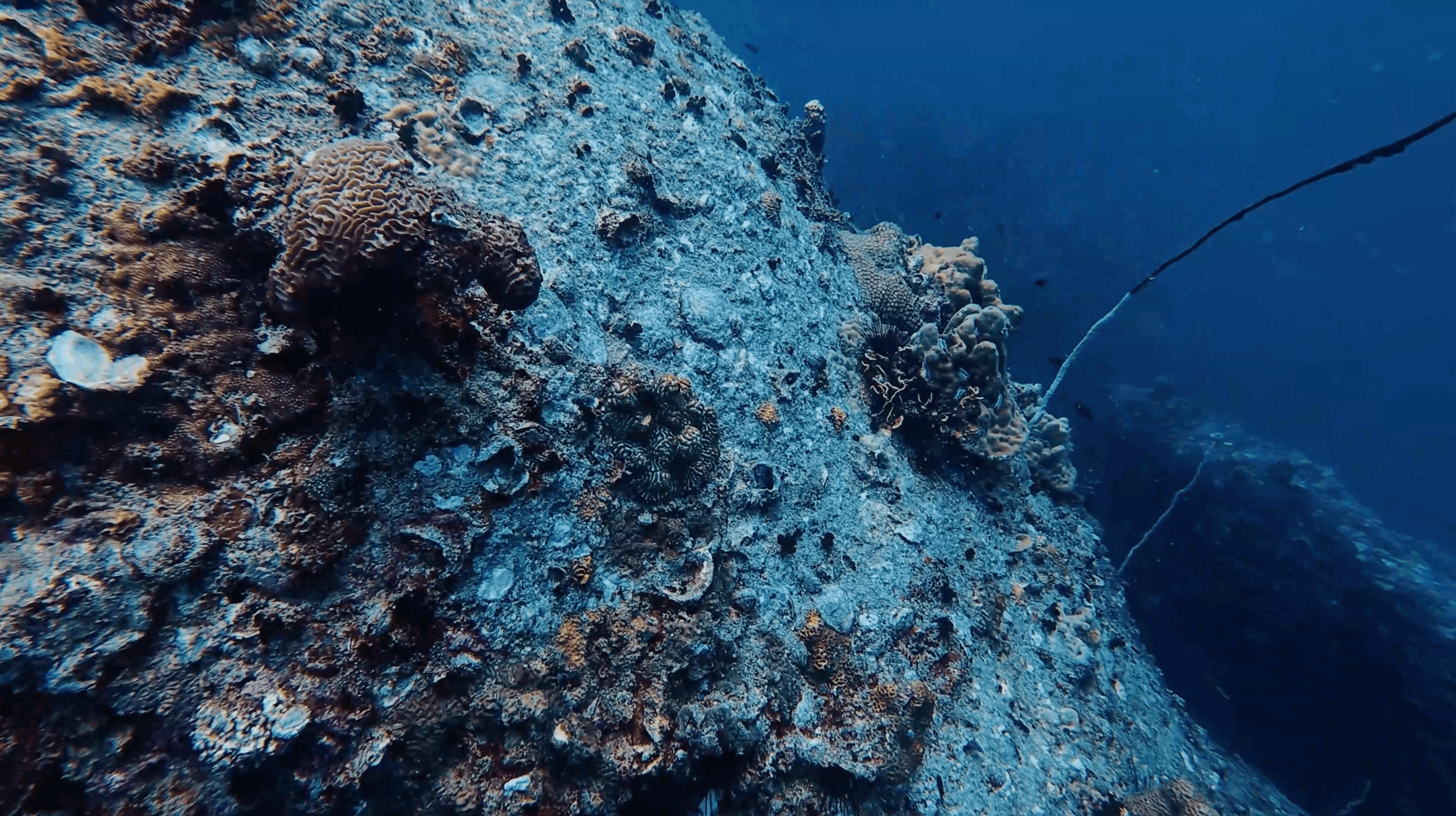 Brain coral and reef growth on the boulder slope at Boulders, Koh Tao