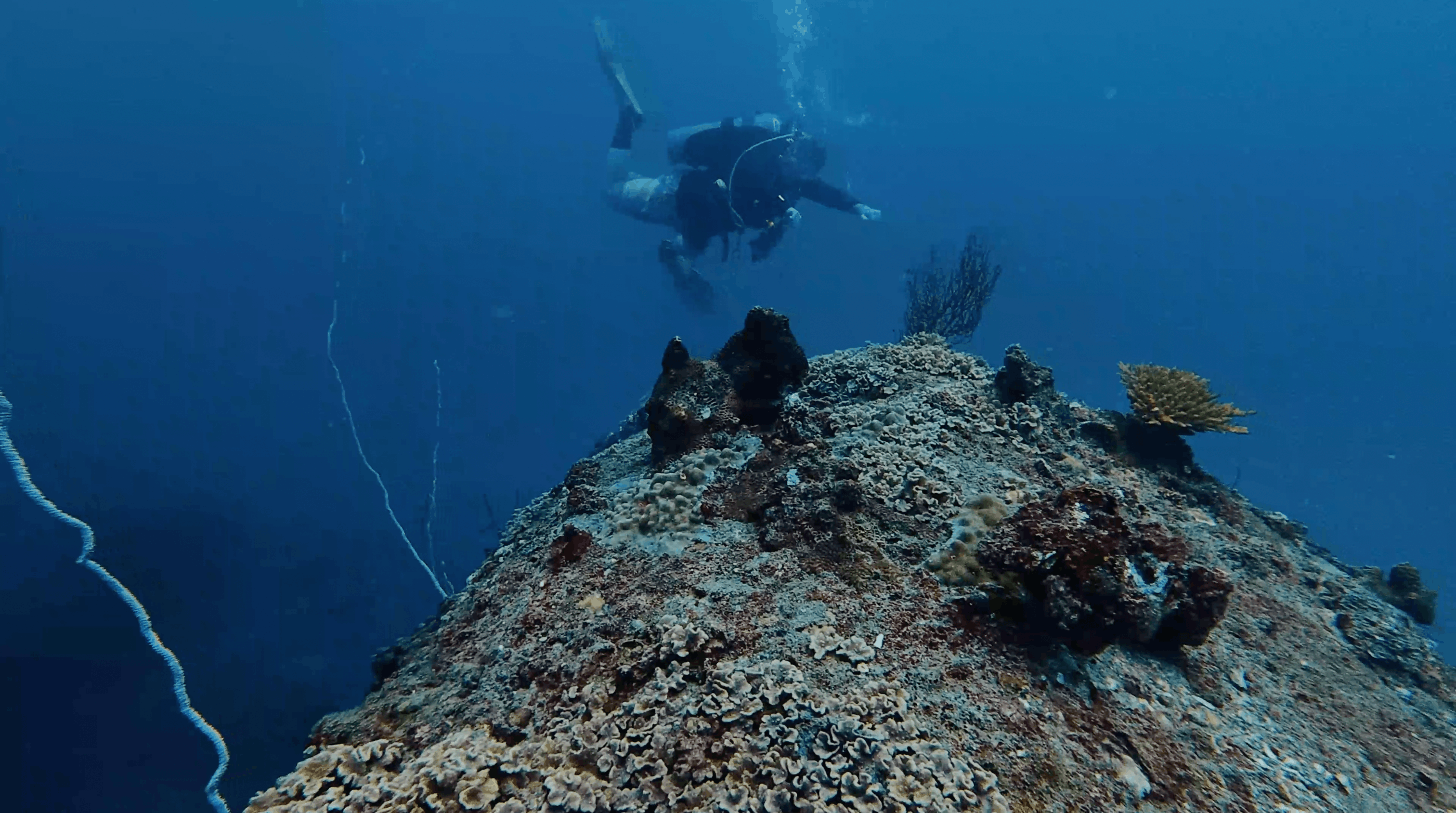 Scuba diver above the coral covered top of Boulders, Koh Tao